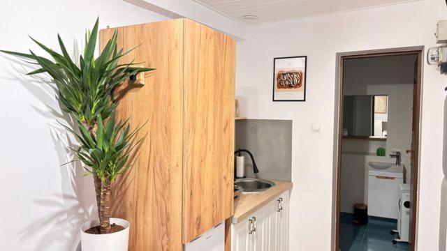 Apartament Boho Stare Miasto Nowy Sącz Dış mekan fotoğraf